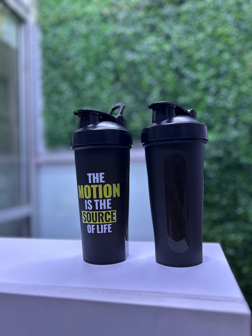 PROTEIN SHAKE BOTTLES